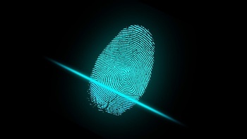 Безвизовых мигрантов будут дактилоскопировать